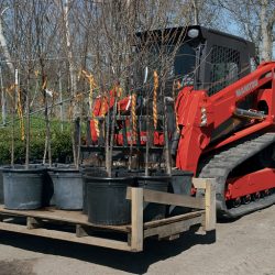 Chargeuse sur chenilles manitou