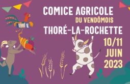 Comice agricole 41